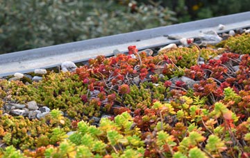 the cost of Pipehill green roof installation