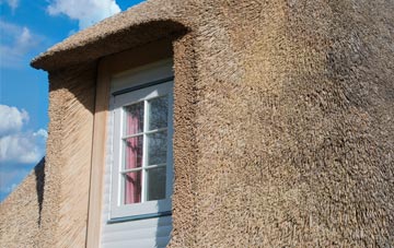 Pipehill thatch roof disadvantages