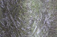 Pipehill fibreglass roof work